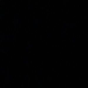 Meet your Posher, Shaheed